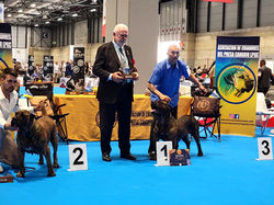 Hedda Spanish Monografico