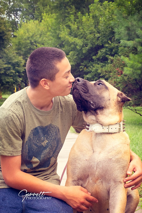 Presa Canario and child