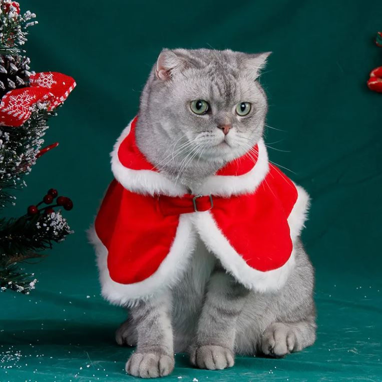 Thumbnail: Cat red Christmas cloak
