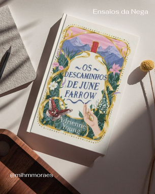 Livro Os descaminhos de June Farrow