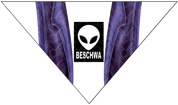 Captura de pantalla 2021-01-13 a la(s) 1