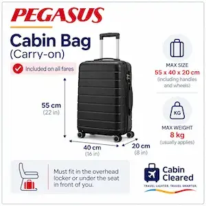 Illustrated guide showing permitted baggage size and dimensions.