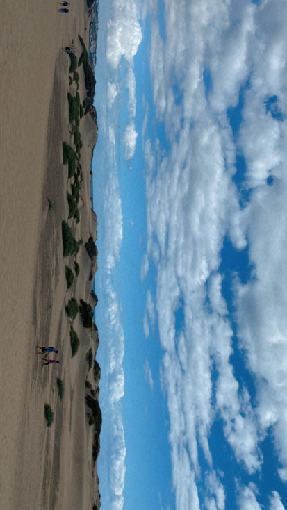 Beach Sand dunes