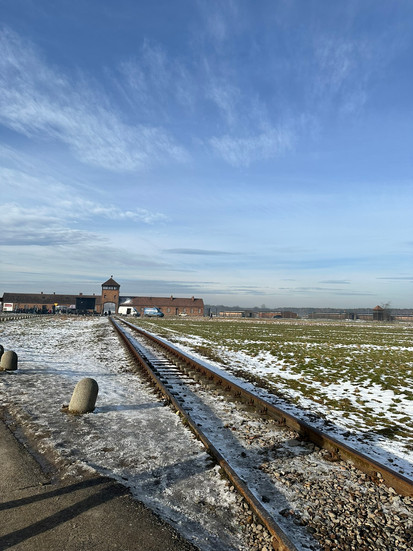 Birkenau tracks