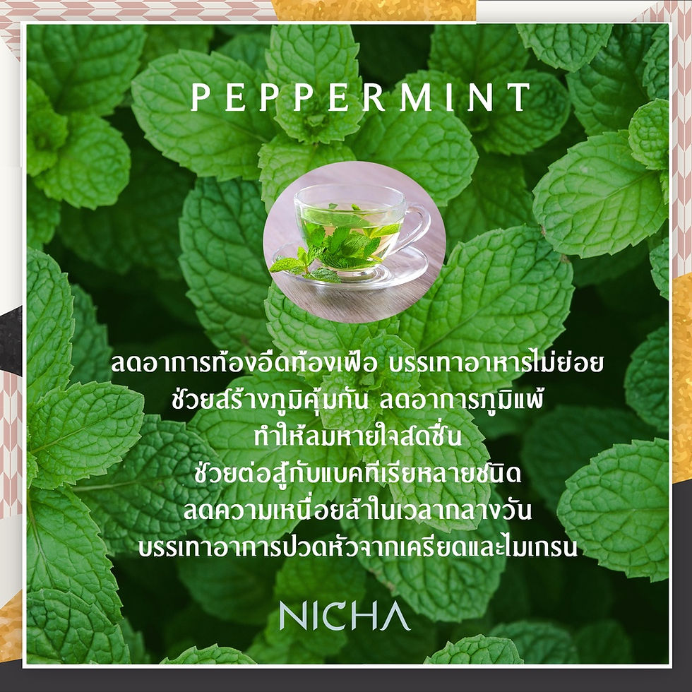 Thumbnail: Peppermint ชาเปปเปอร์มิ้นต์ 25 sachets