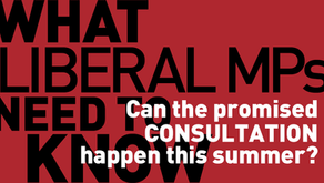 Can the promised consultation happen this summer? What Liberal MPs need to know    
