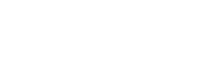 PMT Mortgage-whitelogo.png