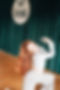 DSC06871.jpg