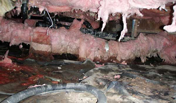 wet damaged crawl space