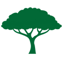 Canopy.png