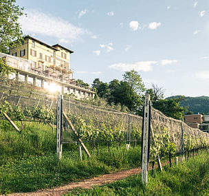 Hotel Paladina