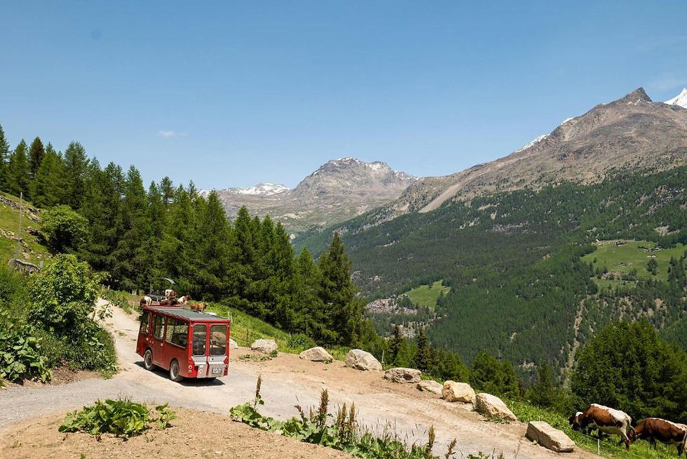 Roter Bus fährt einen Bergweg entlang, umgeben von grünen Bäumen und Bergen. Kuh weidet rechts. Klarer Himmel, ruhige Atmosphäre.
