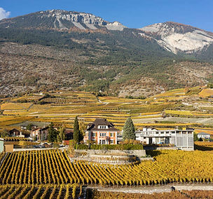 Domaines Chevaliers