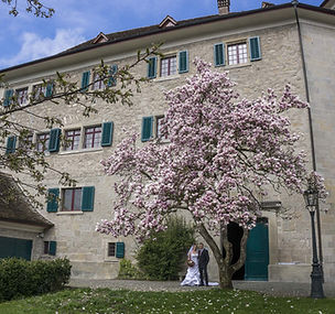 Schloss Grüningen