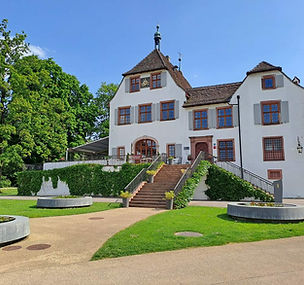 Schloss Binningen