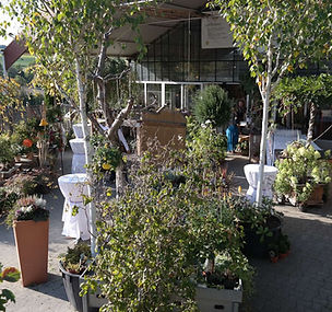 Blumenland Schweiz