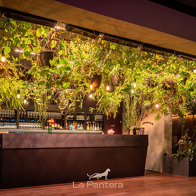 Hochzeitsfotograf Partner dein-hochzeitsfotograf.ch Schweiz