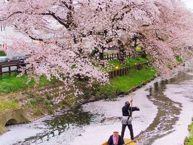 Arare ประวัติศาสตร์และความเป็นมาของขนมว่างญี่ปุ่น