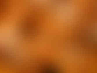 Japanese snack, Arare(ขนมข้าวอบกรอบพันสาหร่่าย)