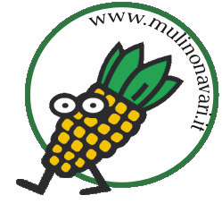 Logo mulino Navari Viareggio