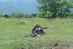 11116407_883596401713406_449905078855547223_o