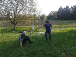 10943876_821369741269406_6429156005514500885_n