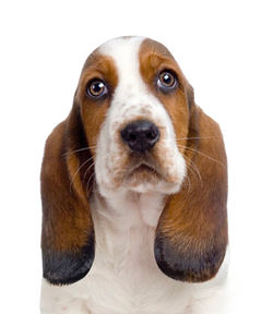 Photoroom_20250530_145359