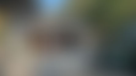 久しぶりの日記です😅