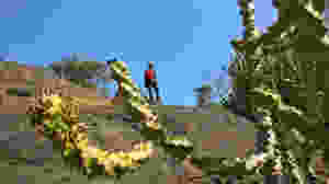 girl on mountain