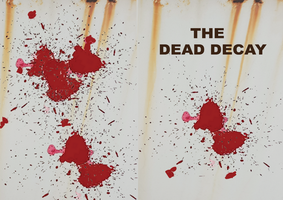 tdd front and back_edited.png