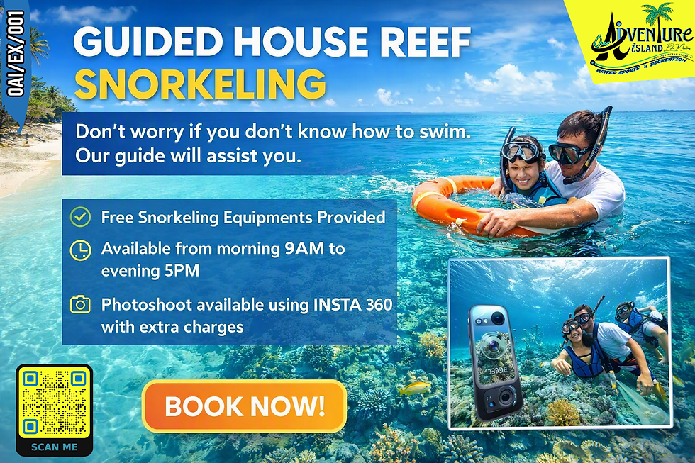 1 HOUSE REEF SNORKELING.png