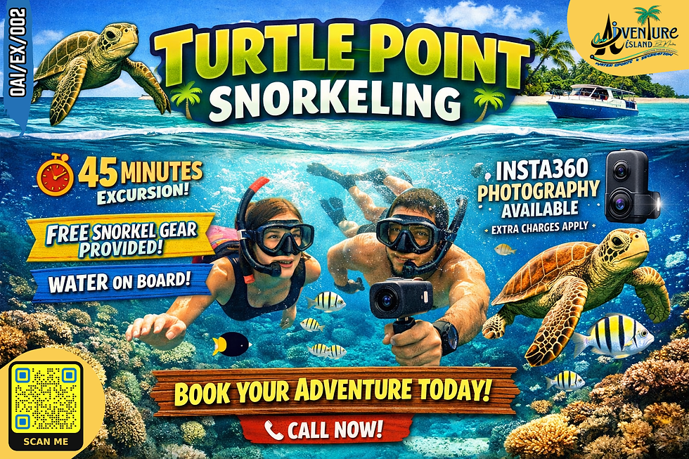 2 TURTLE POINT.png
