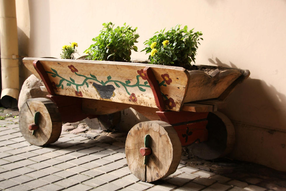 © Edyta Tomaszewicz