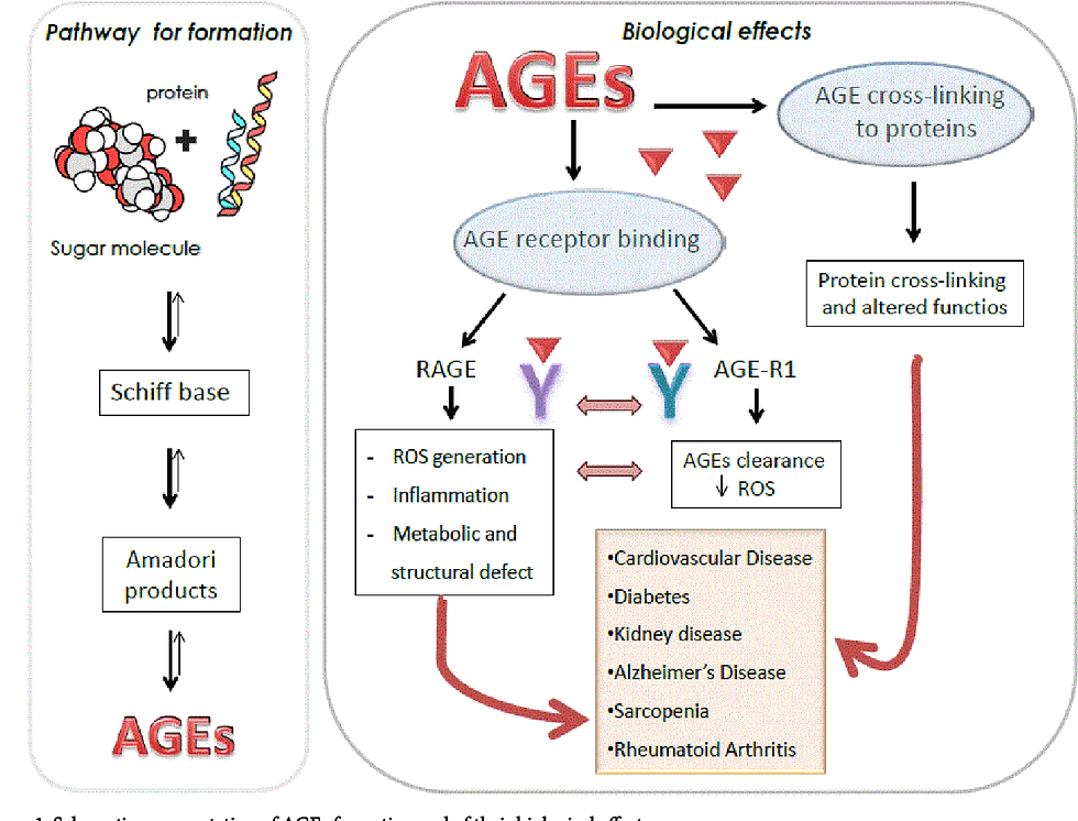glycosylation