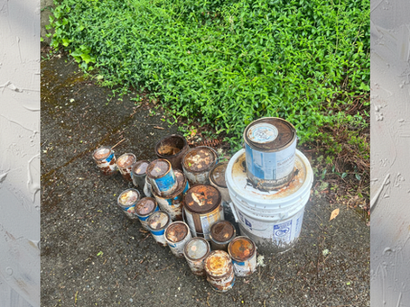 West Seattle Paint Disposal: Clearing a Backyard Deck of Old Paint Cans (2026)