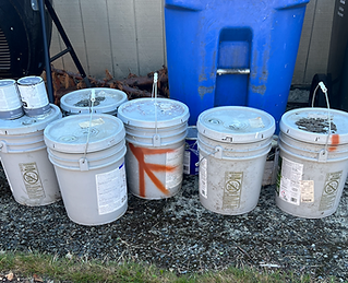 Decluttering garages with hazardous waste removal in Western Washington.