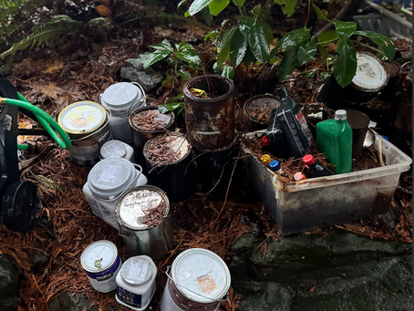 Cleaning Up Kirkland: How Seattle Paint Pickup Tackled a Messy Paint Problem