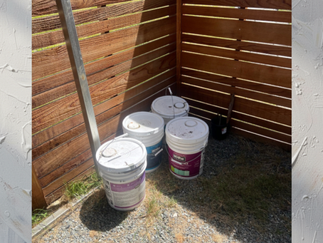 West Seattle Fence Project: Clearing Four 5-Gallon Buckets of Leftover Stain