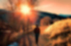 serenity-walking-man-man-between-grass-wallpaper (2021_02_13 17_04_11 UTC).jpg