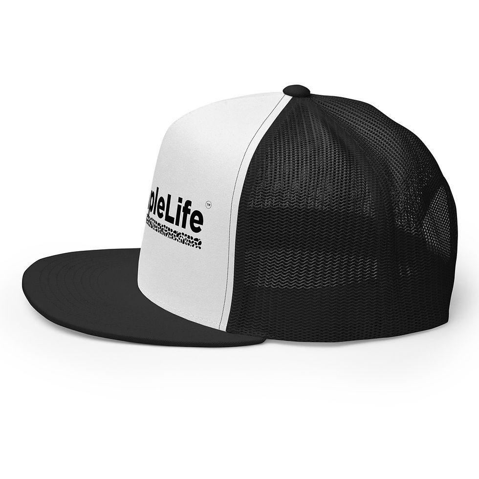 Thumbnail: DiscipleLife Trucker Cap