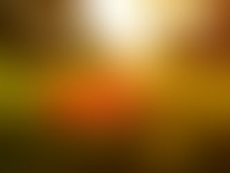 Reflecting, and Finding Clarity Through This Season of Change