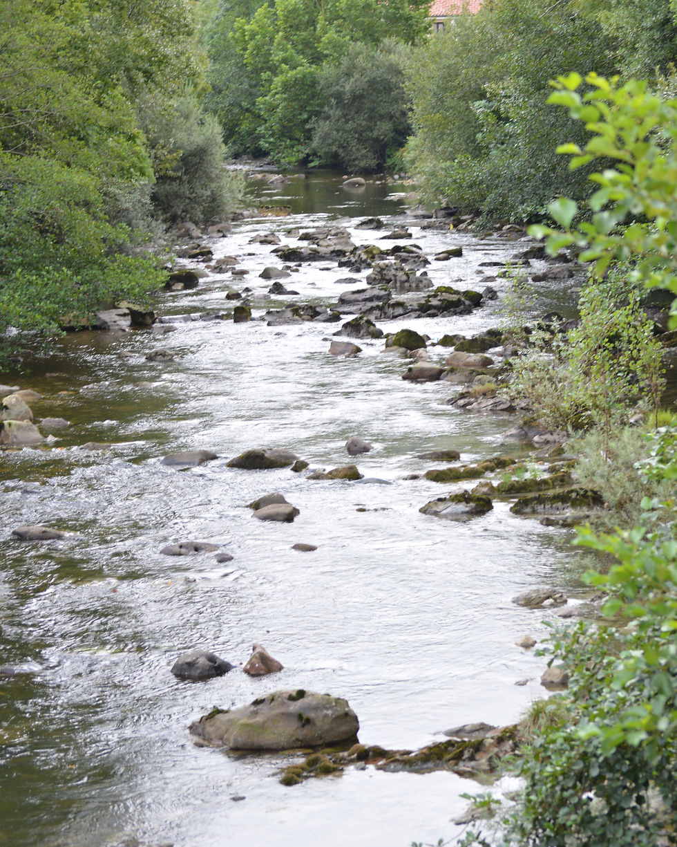 Learning to Go With the Flow of Life