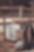 Equus Ranch Western-04.jpg