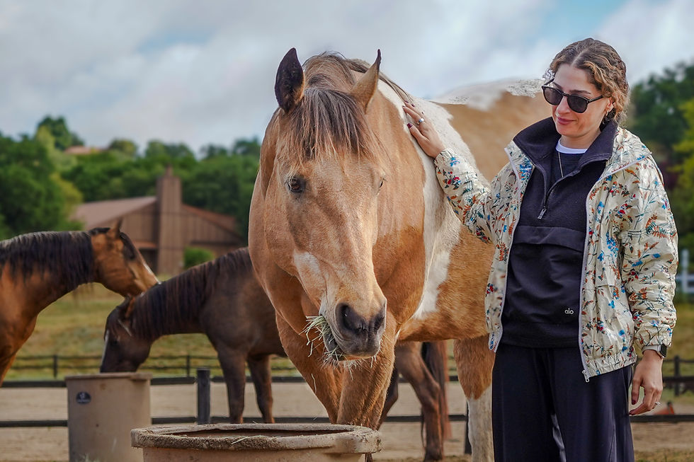 Connection with the horses always brings a new insight