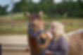 Equus Ranch-17.jpg