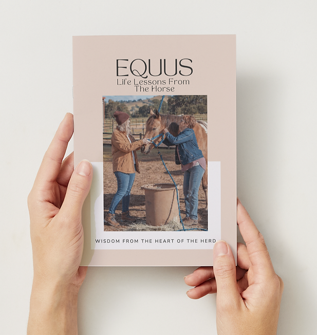 Screenshot 2025-05-06 at 13.31.07.png