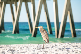 Emerald Coast Landscape photography by Sunset Photography