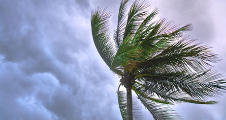 Kuidas me käitume kriisiolukordades?