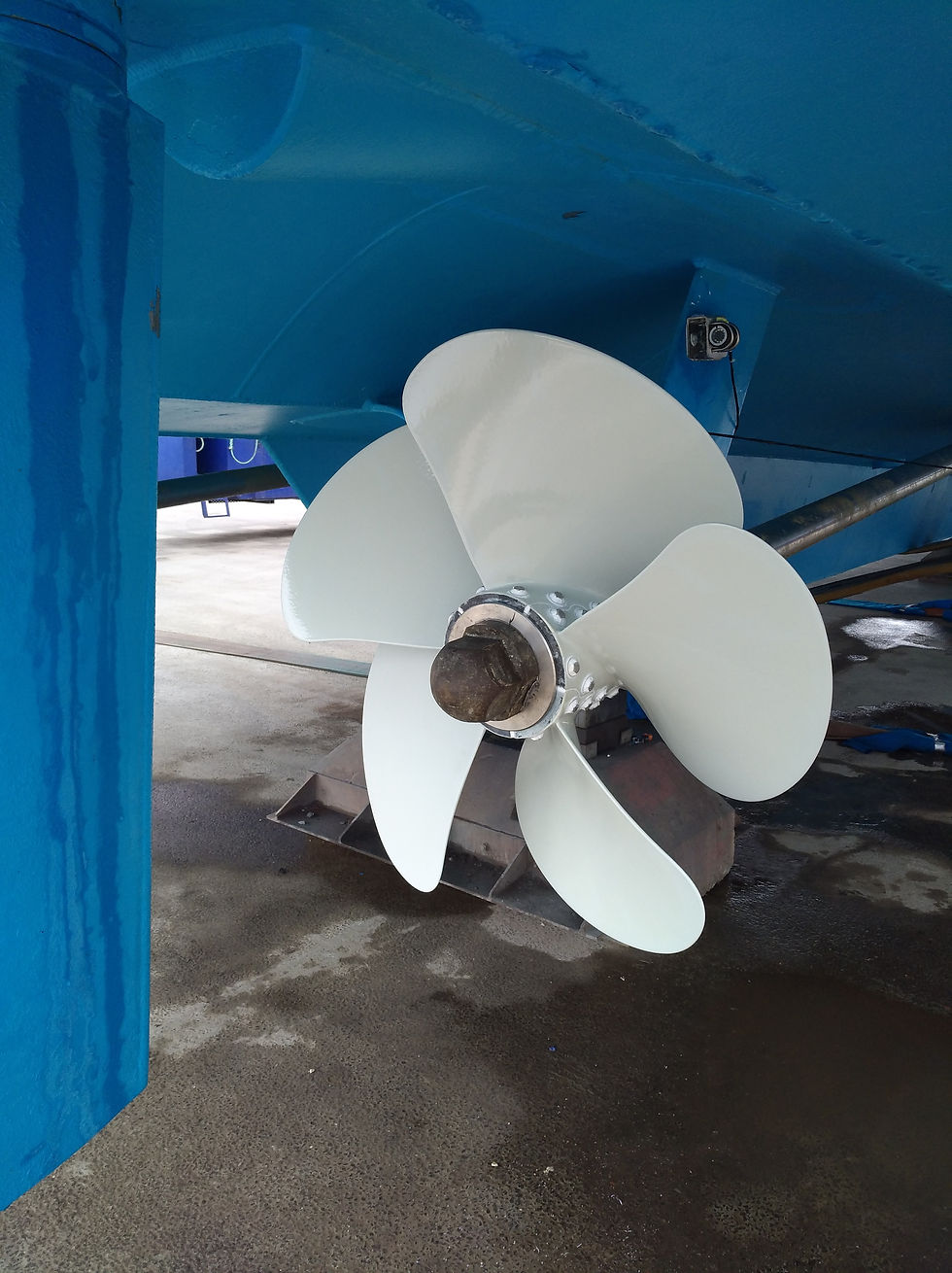 PROPELLER MAINTENANCE