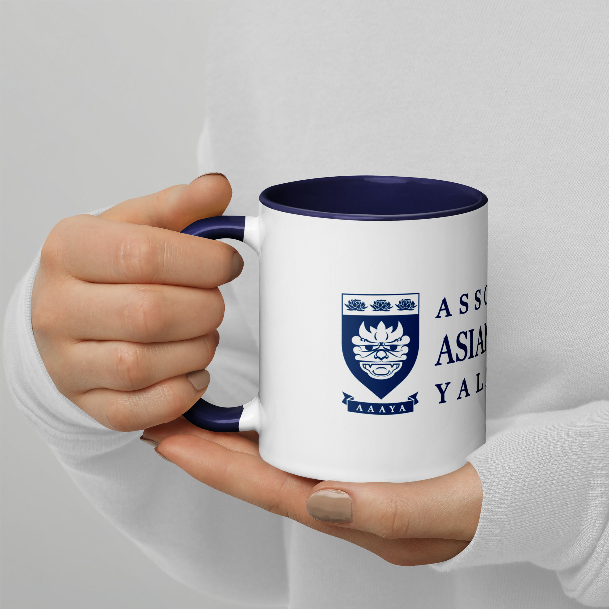 AAAYA Mug